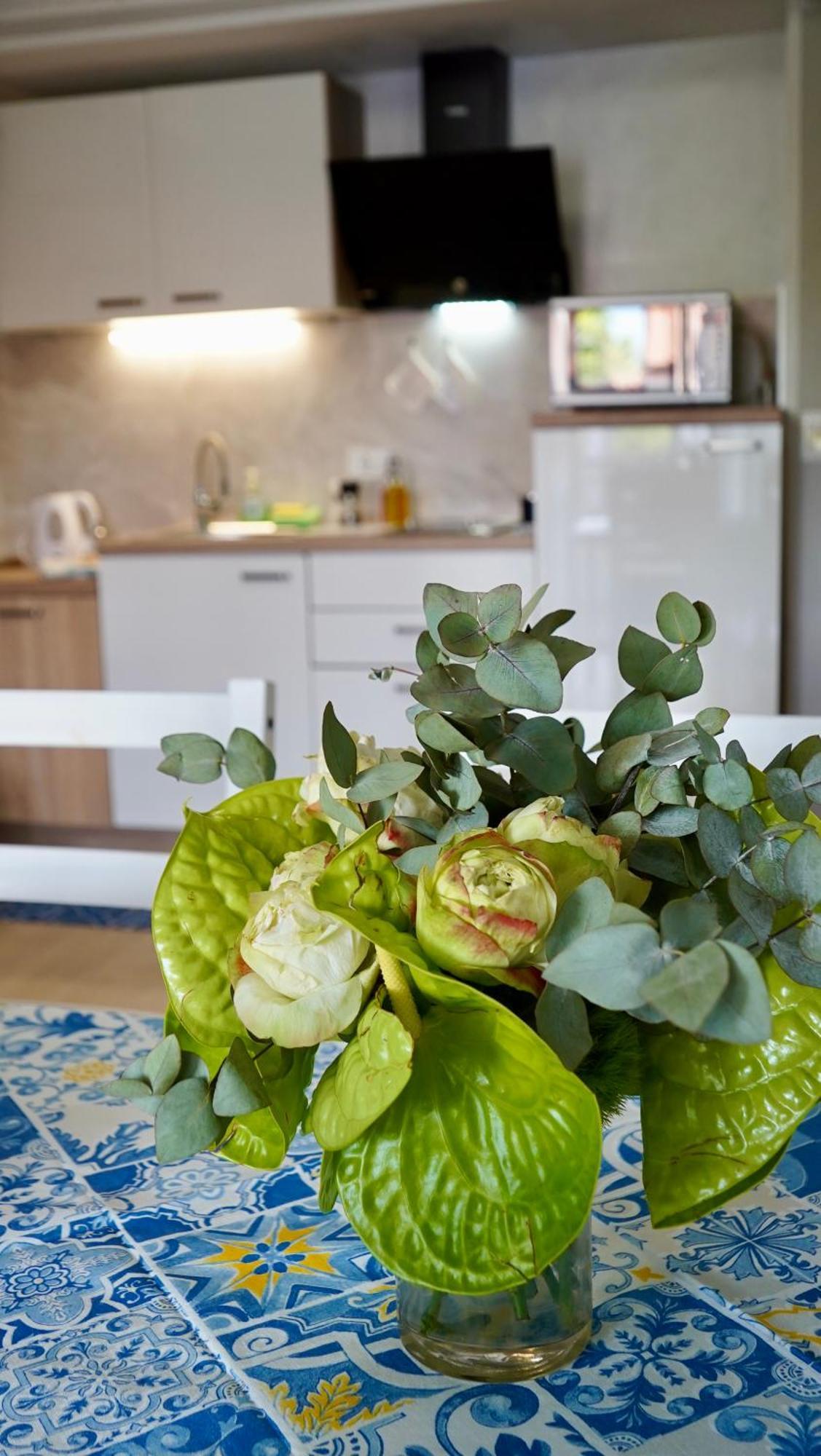 Apartments Ivo Rovinj Croatia Экстерьер фото